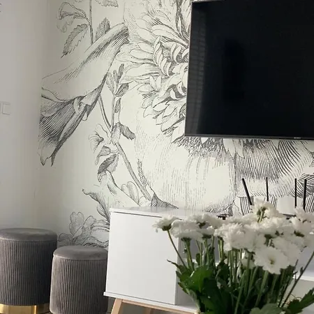 W Slupsku Z Klimatyzacja Balkonem Parkingiem Апартаменты *