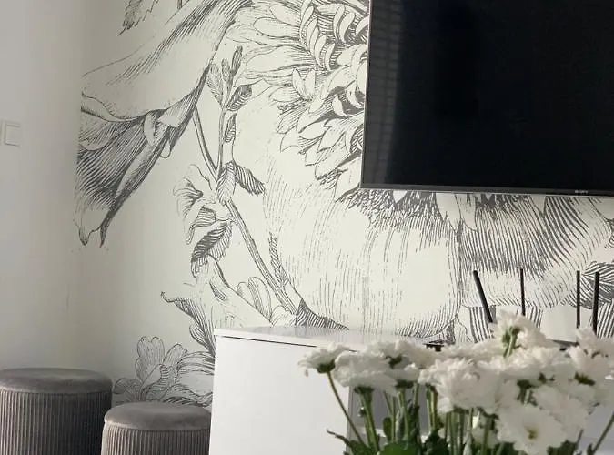 W Slupsku Z Klimatyzacja Balkonem Parkingiem アパート *