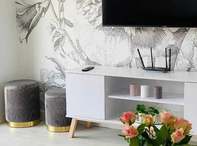 W Slupsku Z Klimatyzacja Balkonem Parkingiem * スウプスク